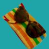 Glasses Protective Case