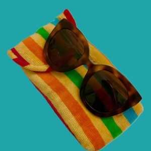 Glasses Protective Case