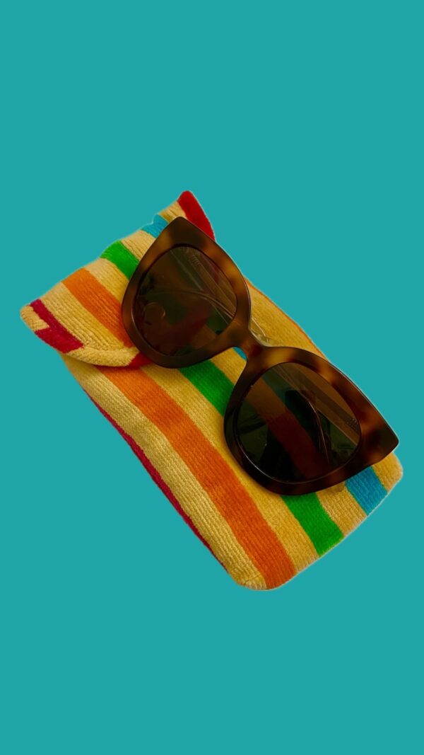 Glasses Protective Case